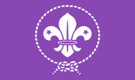 Scouts Purple Flags